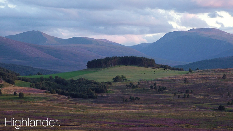 highlander