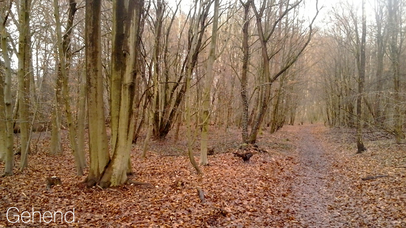 weg