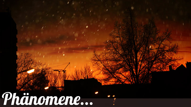 phaenomene