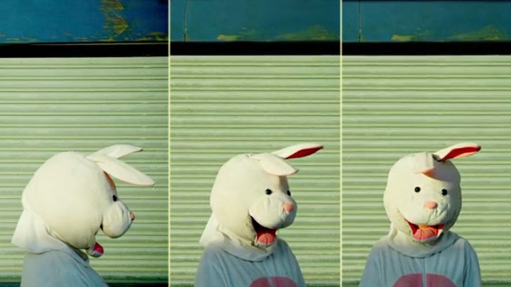 rabbit2021